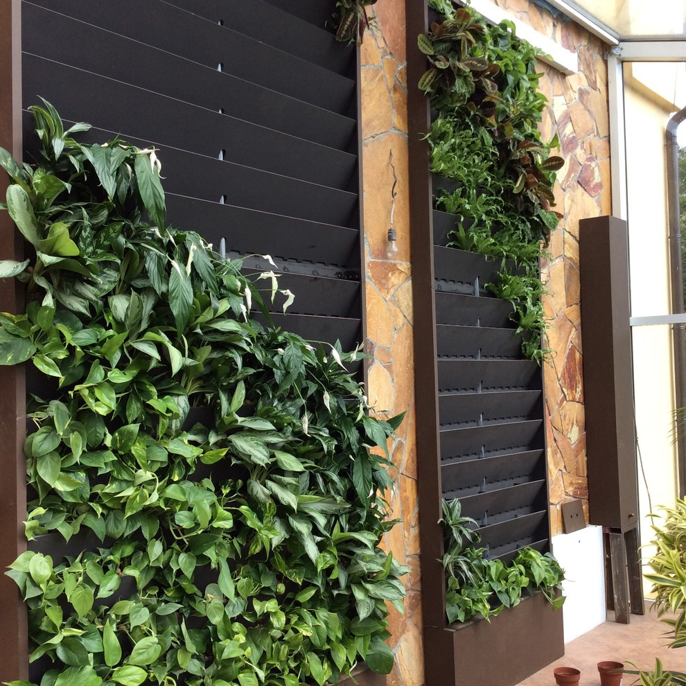 Зимний сад. Калининец