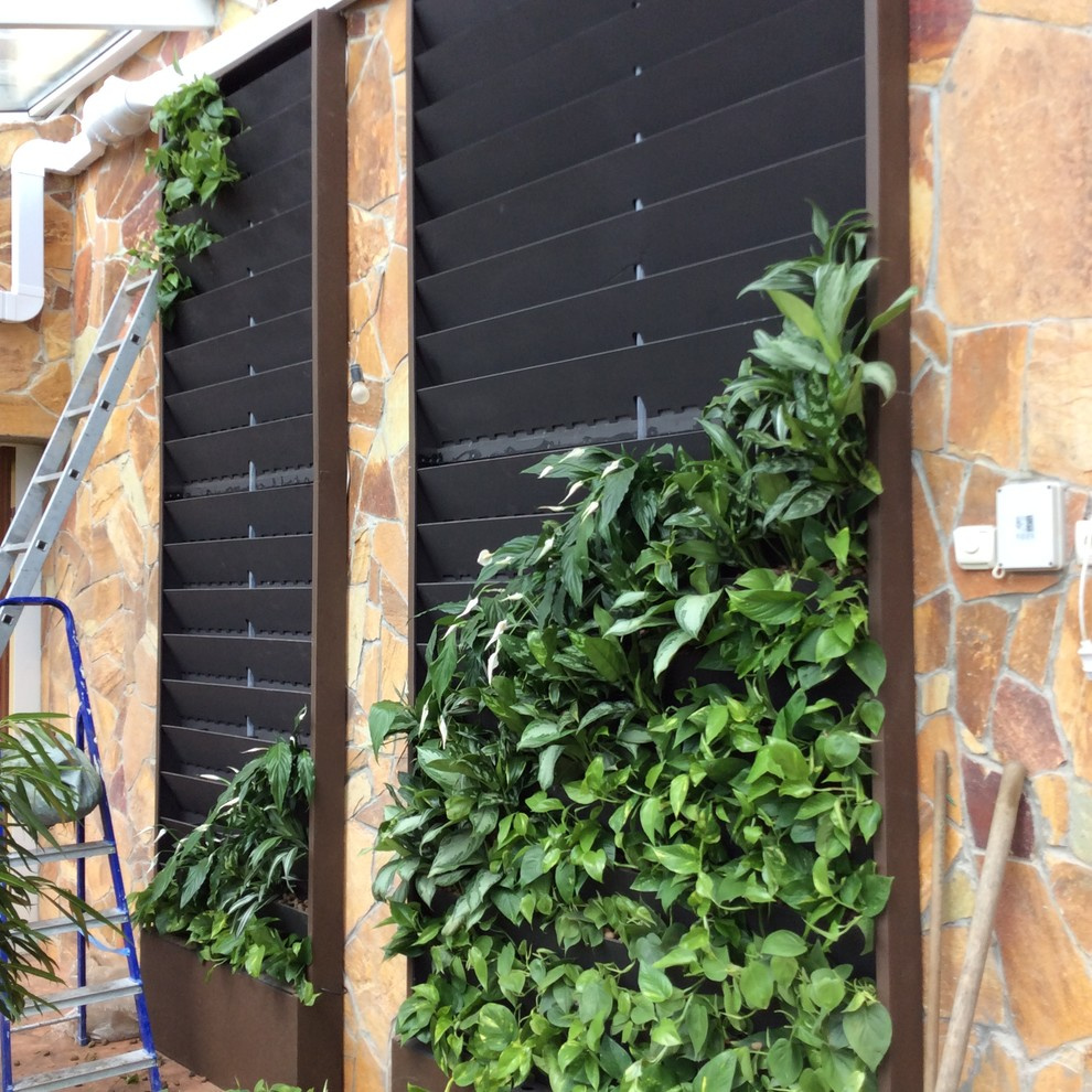 Зимний сад. Калининец