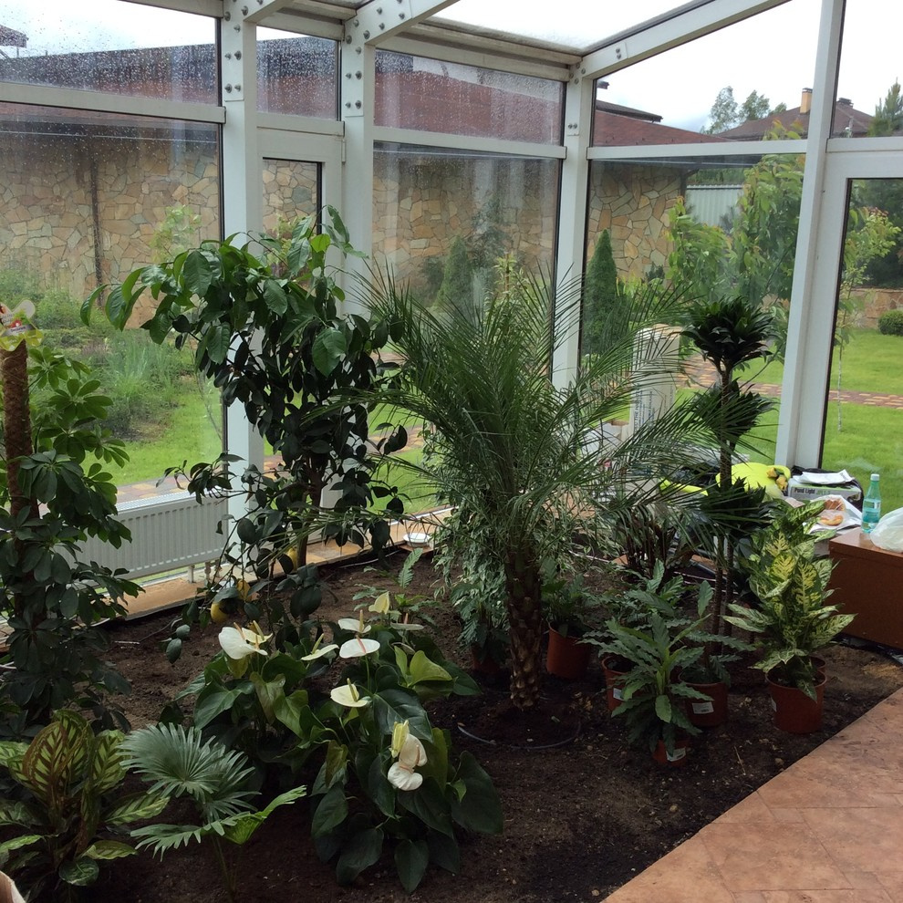 Зимний сад. Калининец