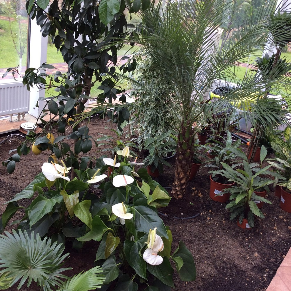 Зимний сад. Калининец