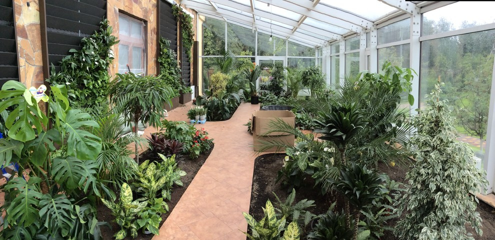 Зимний сад. Калининец