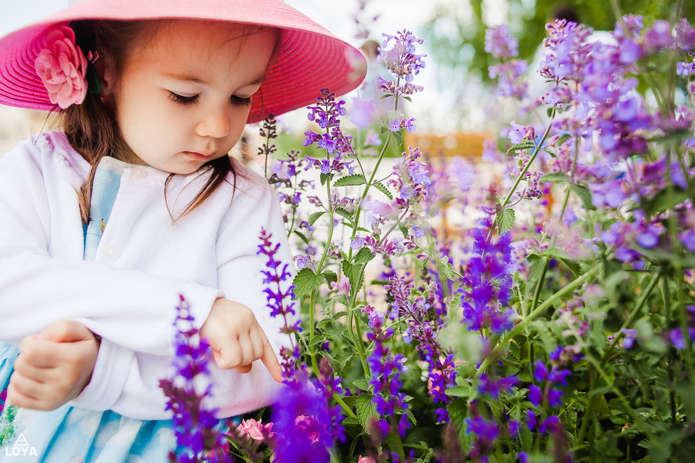Демонстрационные сады