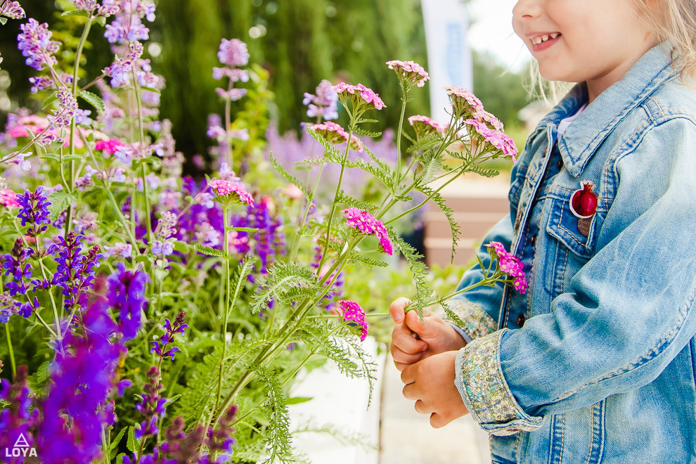 Обложка проекта: Демонстрационные сады