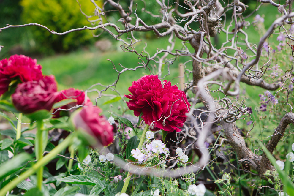 Сад Дракона для Houzz