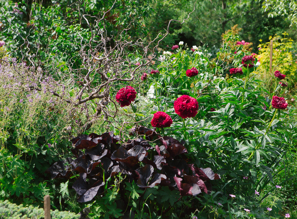 Сад Дракона для Houzz