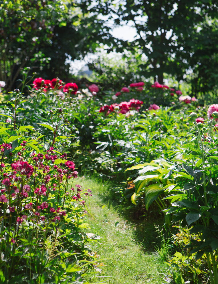 Сад Дракона для Houzz