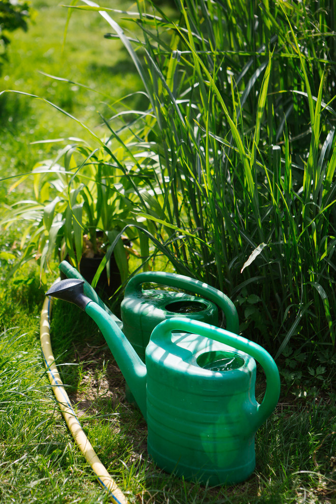 Сад недели: Пионы под неусыпным оком дракона