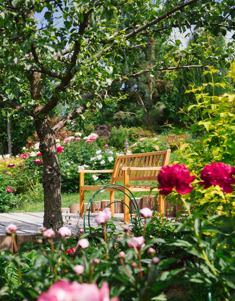 10 садовых цветов, за которыми можно почти не ухаживать