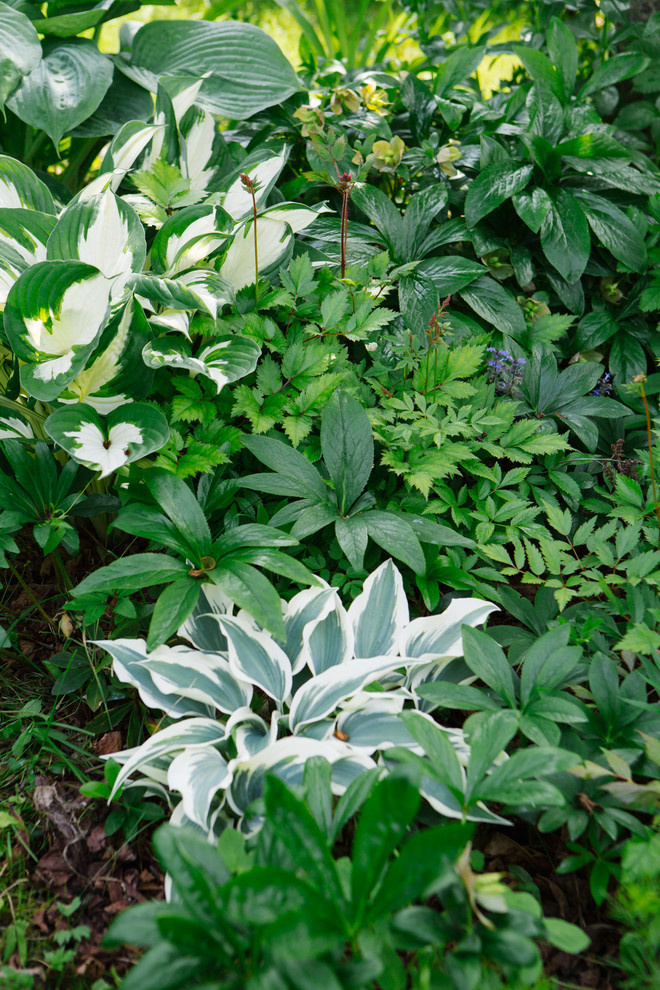 Сад недели: Пионы под неусыпным оком дракона