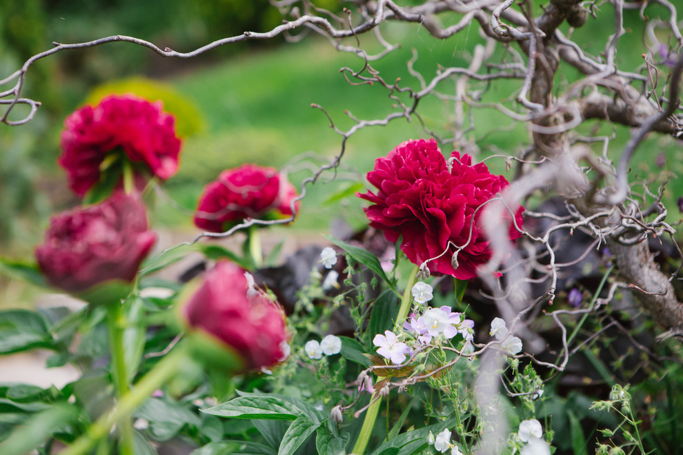 Сад недели: Пионы под неусыпным оком дракона