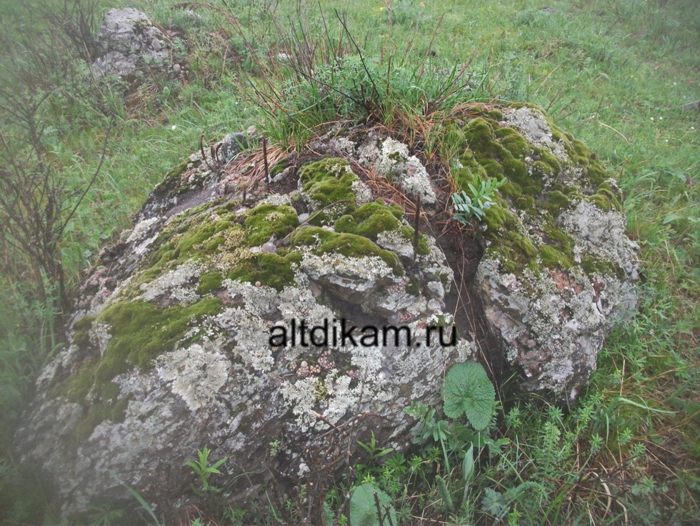 Глыбы каменные для ландшафтного дизайна большие