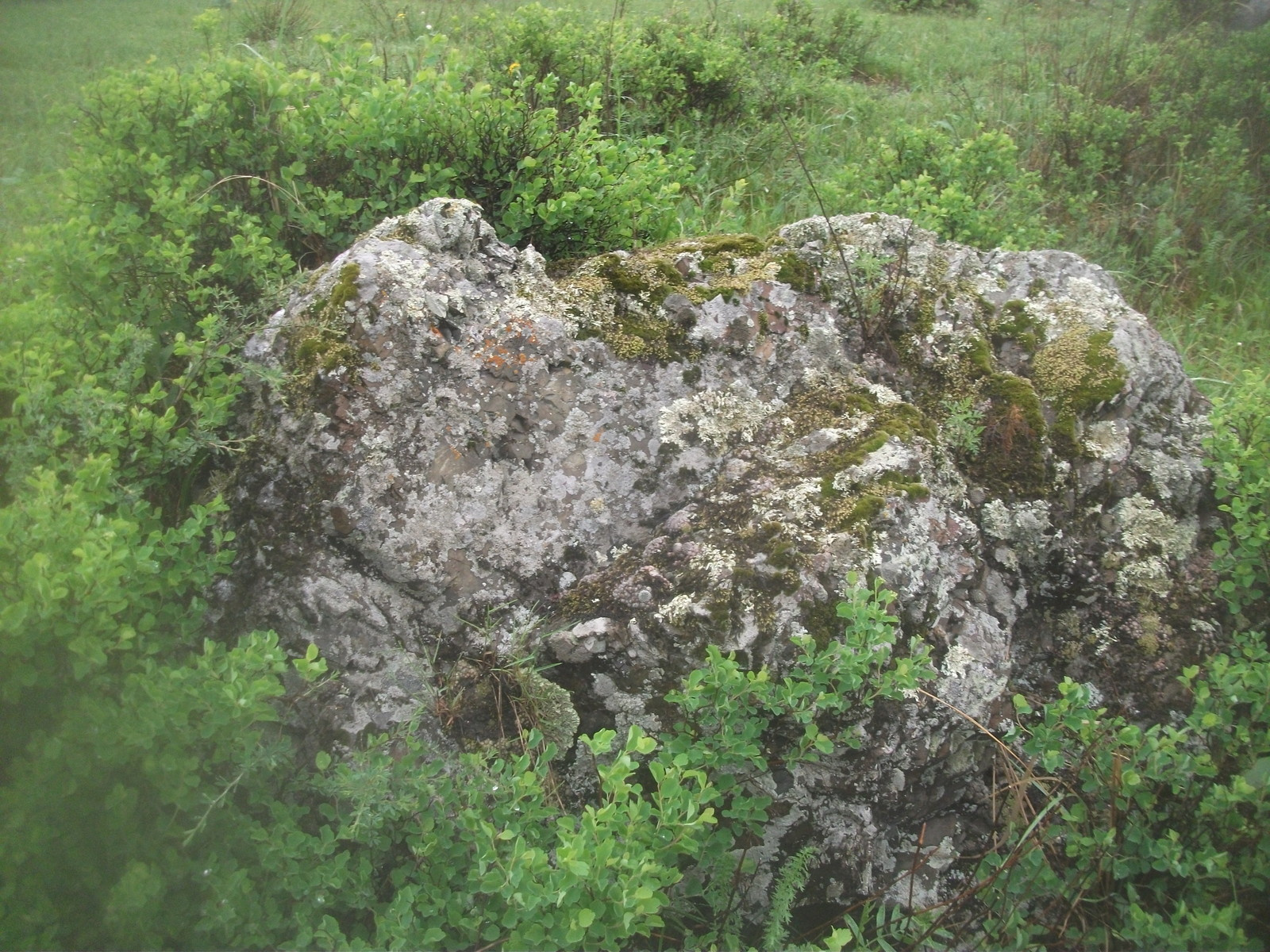 Обложка проекта: Глыбы каменные для ландшафтного дизайна большие