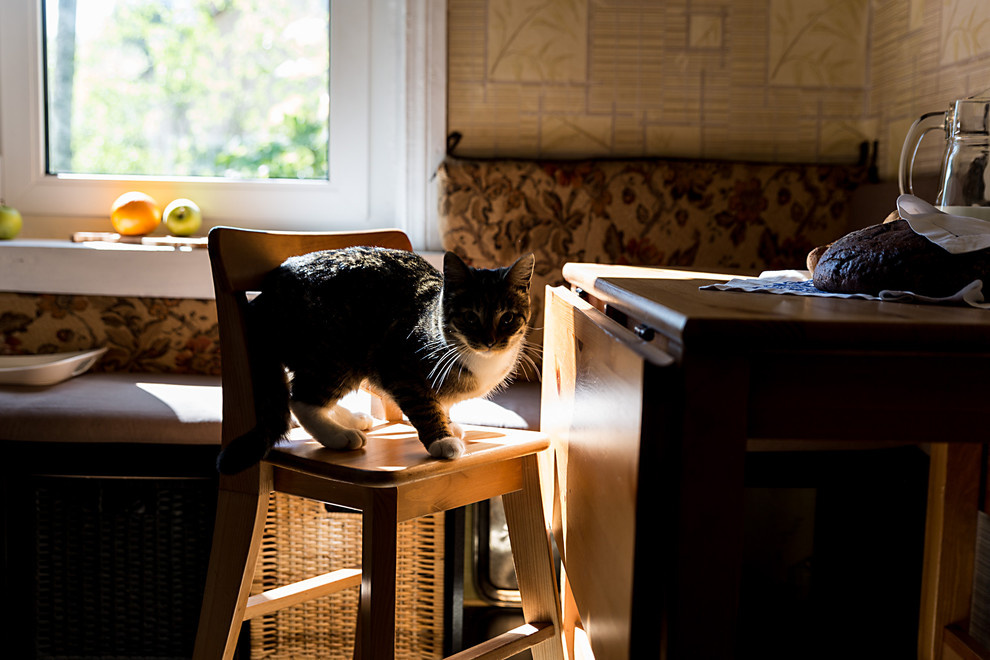 Houzz в гостях: Мансарда дачного дома