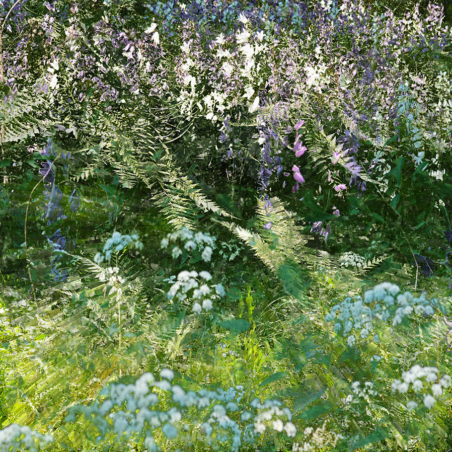 Green World