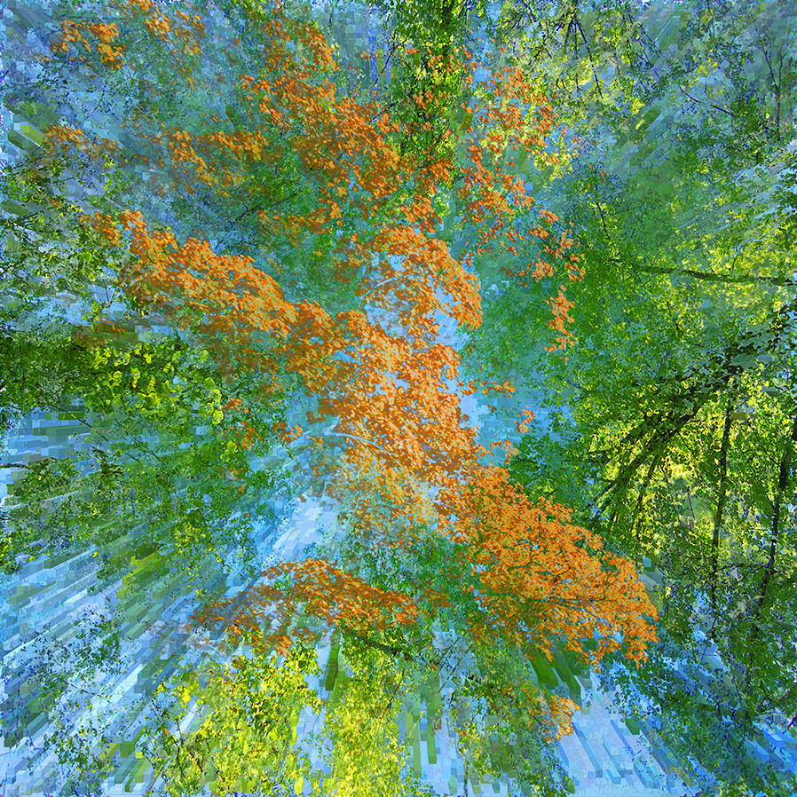 Green World