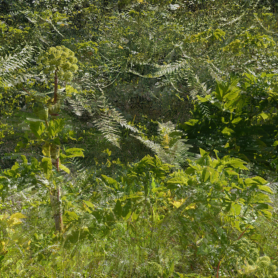 Green World