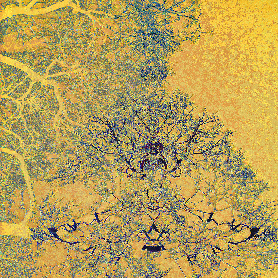 Abstraction