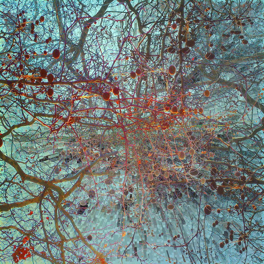 Abstraction