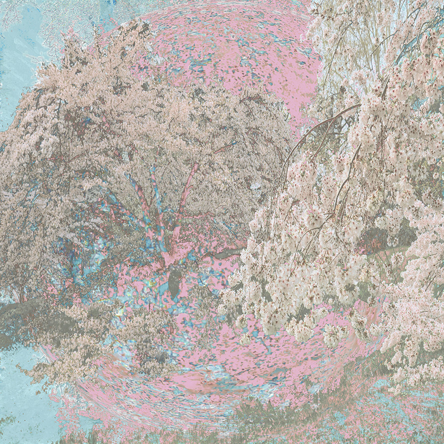 Abstraction