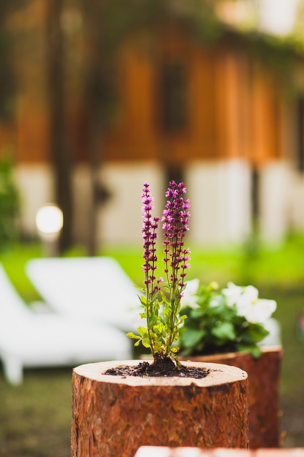 Беседка для Татьяны Лютаевой и Агнии Дисковските