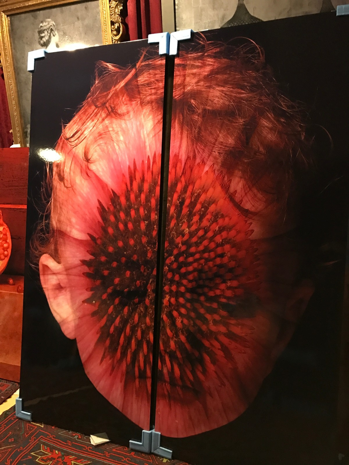 Фотография в интерьере