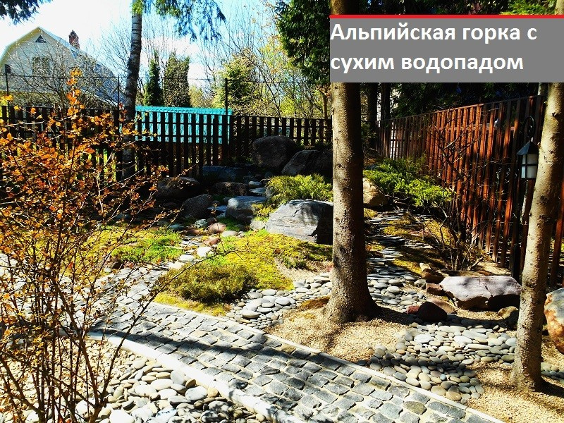 Использование дикого мха вместо газона.
