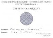 Авторский сад "Кандинский. Встреча поверхностей"