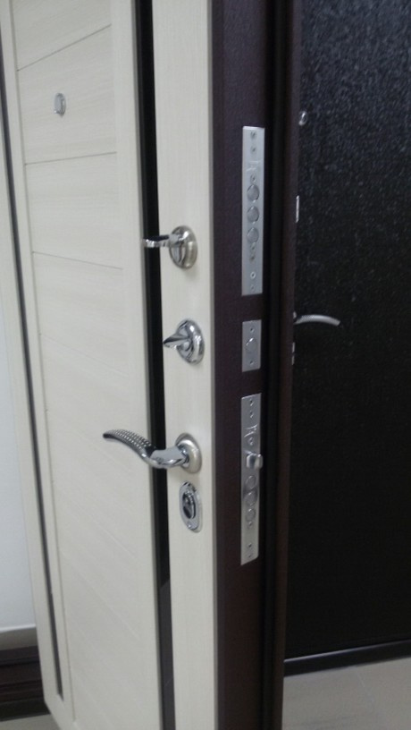 Входные двери с внутренними накладками как межкомнатные