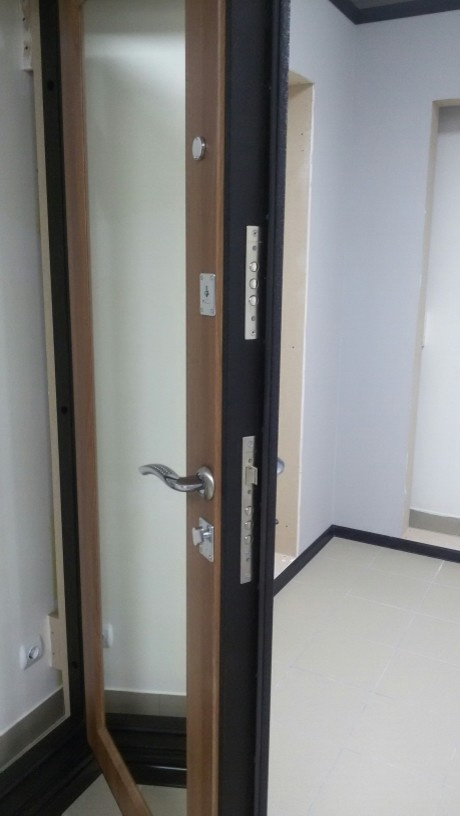 Входные двери с внутренними накладками как межкомнатные