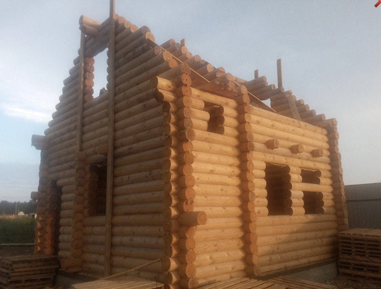 Дома из бревна