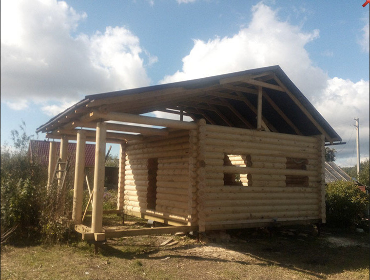 Дома из бревна