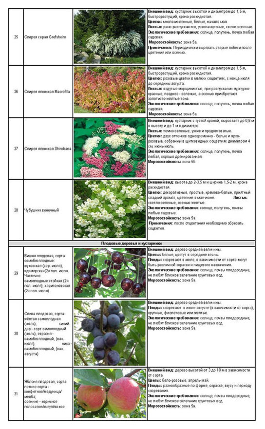 «Полная проектная документация д. Барвиха», 20 соток