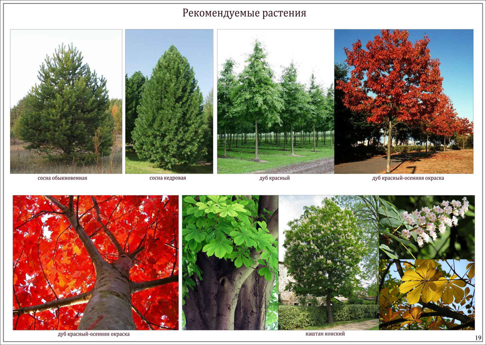 «Коттеджный поселок "Ирбис"»