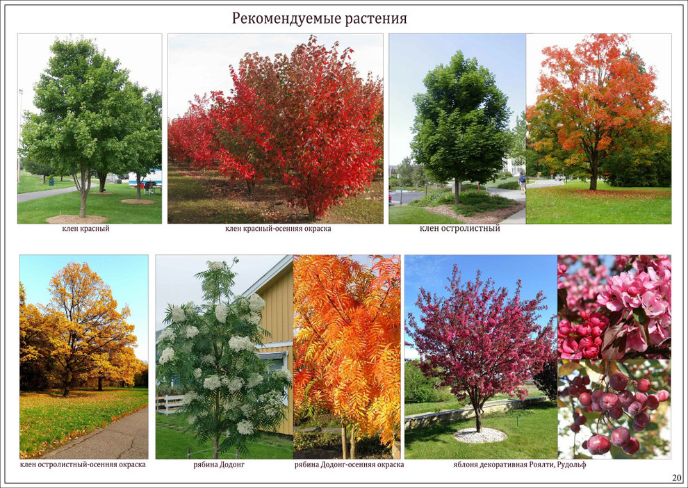 «Коттеджный поселок "Ирбис"»