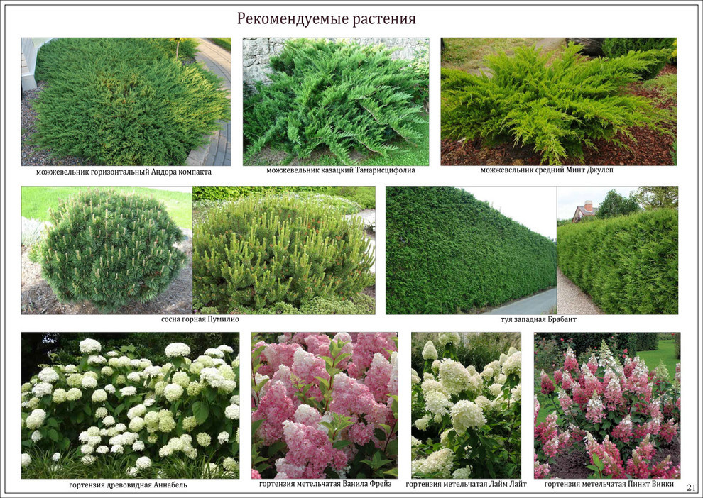 «Коттеджный поселок "Ирбис"»