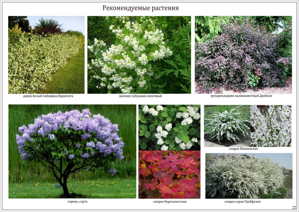 «Коттеджный поселок "Ирбис"»