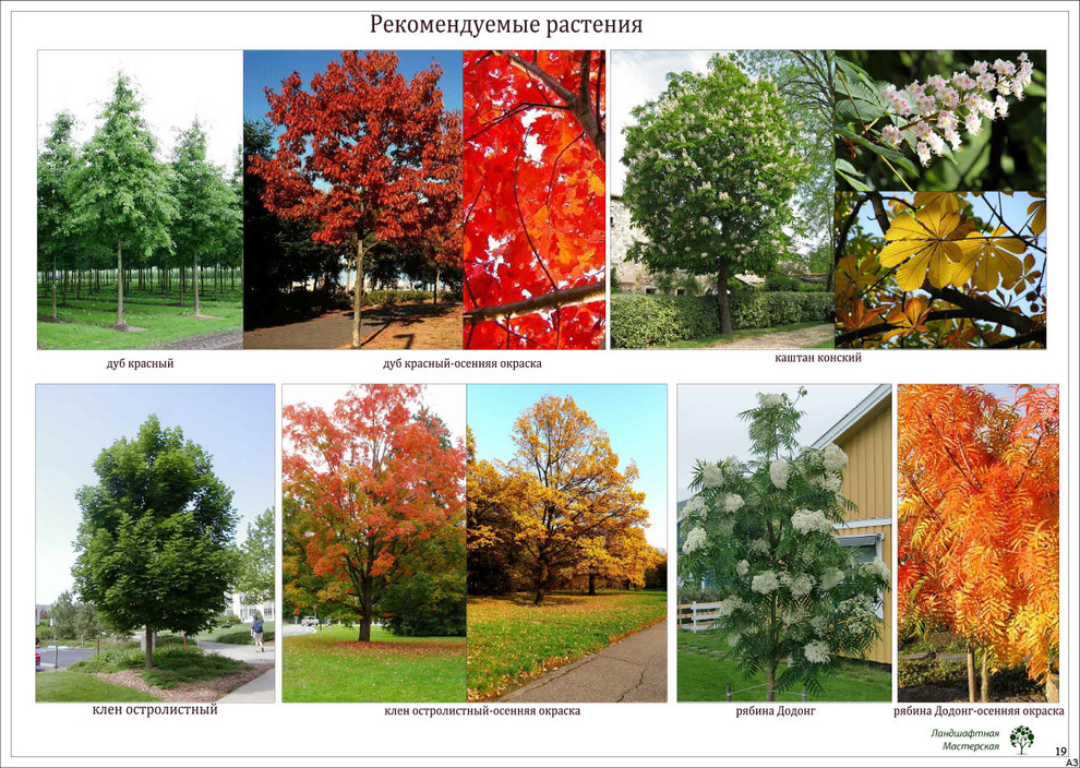 Коттеджный поселок «Монтевиль»