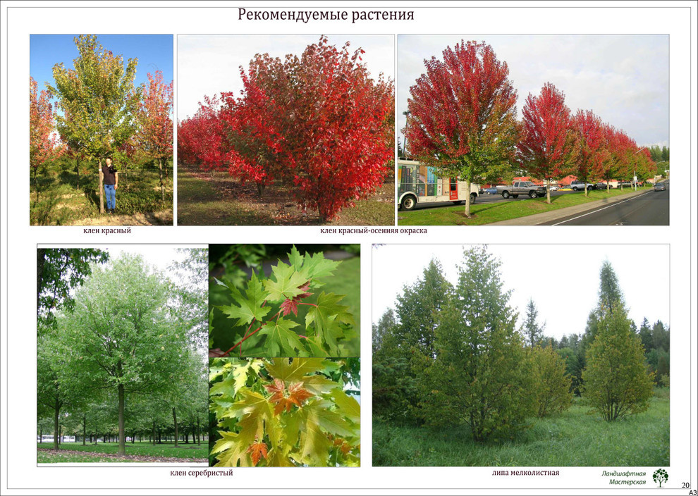 Коттеджный поселок «Монтевиль»