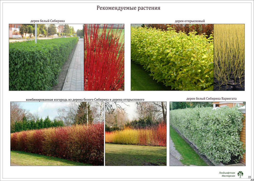 Коттеджный поселок «Монтевиль»