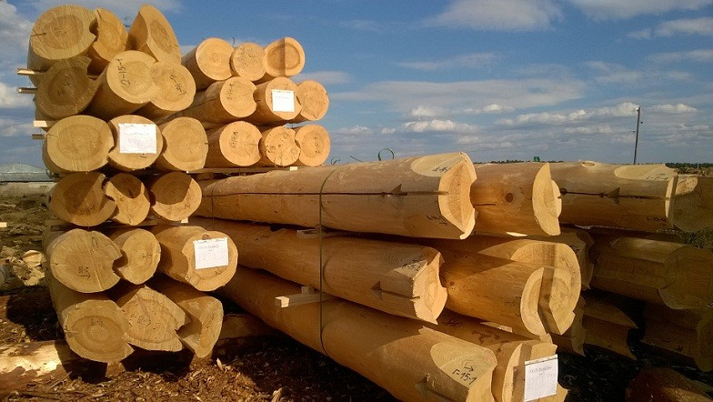 Гостевая баня  S=100 м2