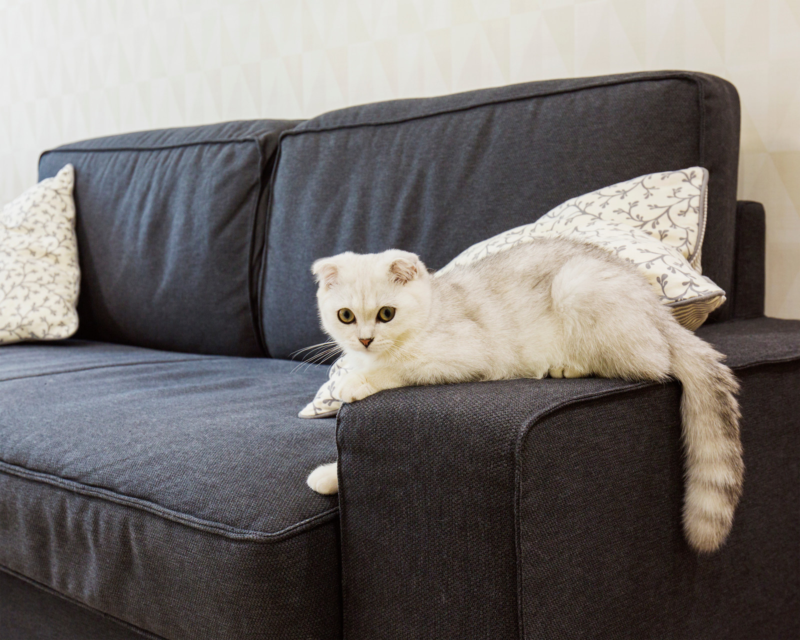 Частная квартира в Москве на ул. Ферсмана