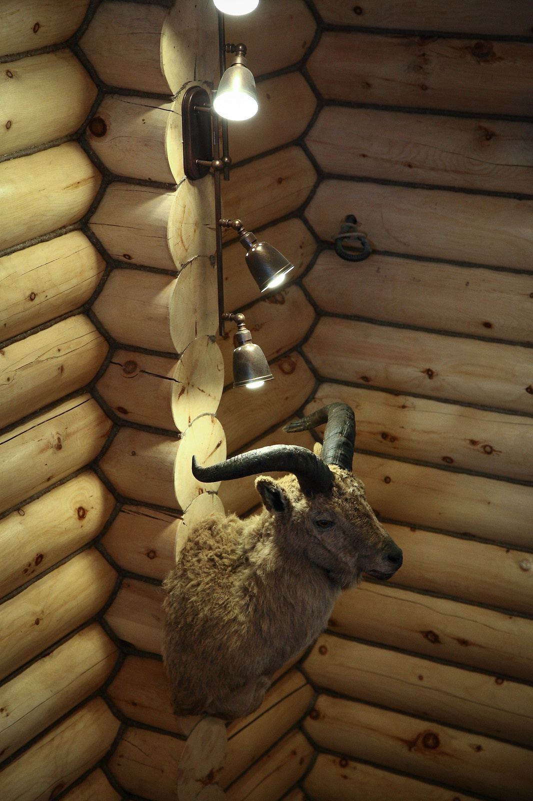 Охотничий дом