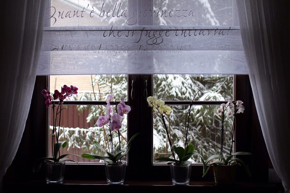 Зеленая роща