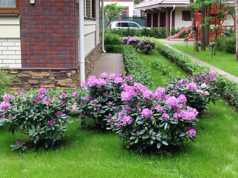 "Антоновка", 45 соток