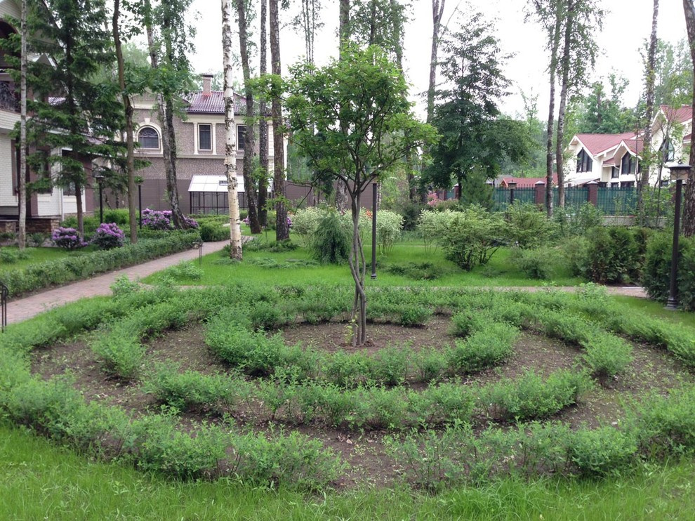 "Антоновка", 45 соток