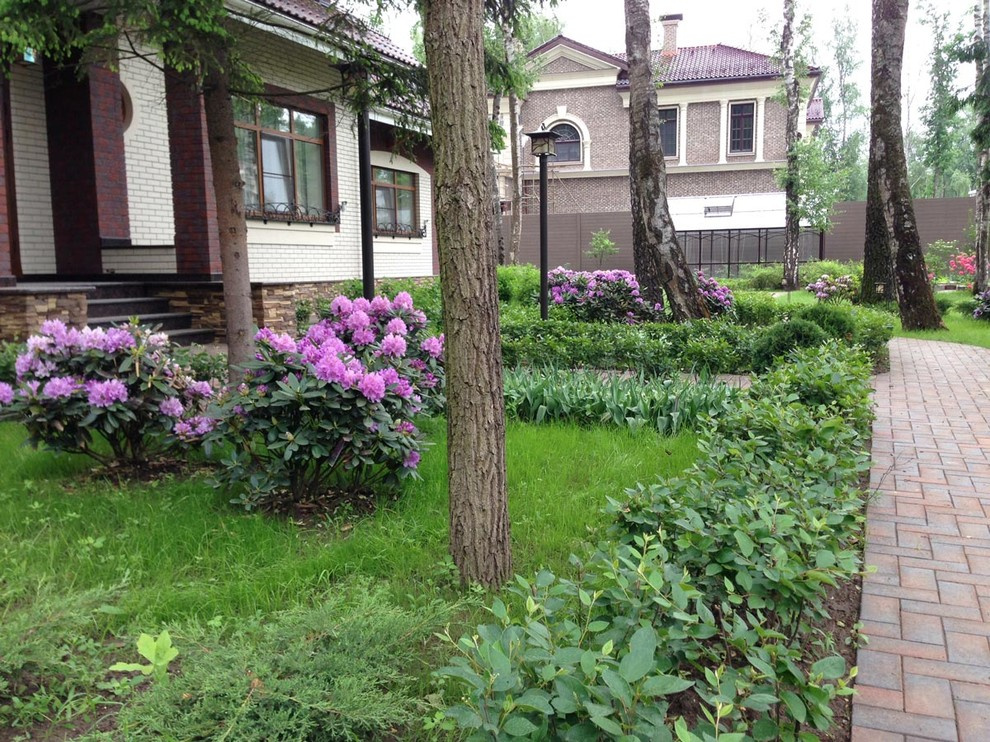 "Антоновка", 45 соток