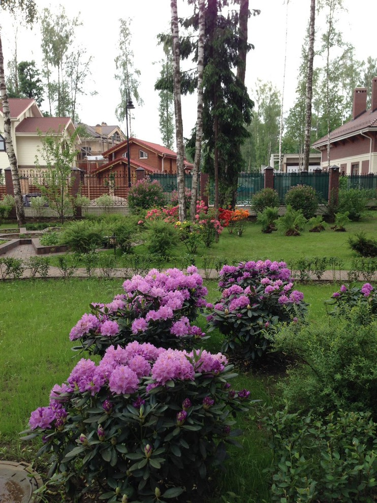 "Антоновка", 45 соток