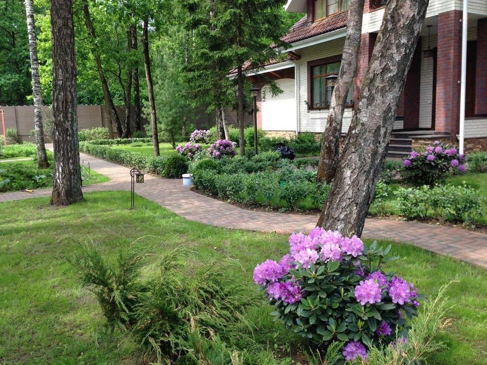 "Антоновка", 45 соток