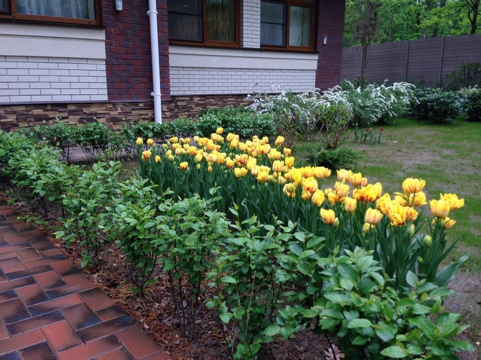 "Антоновка", 45 соток