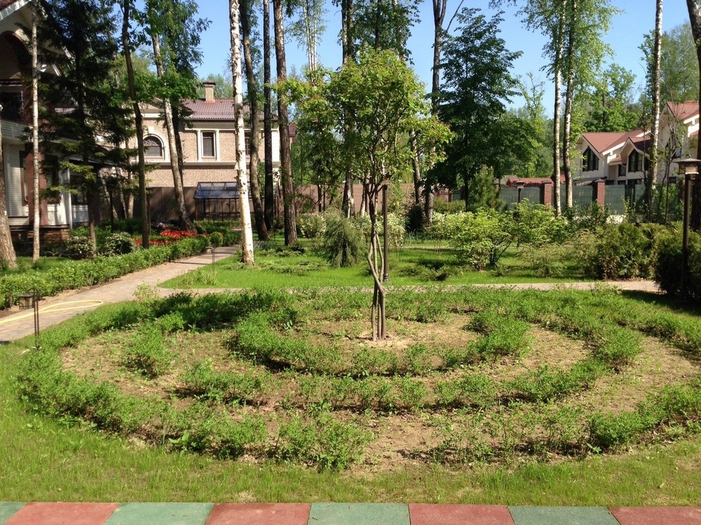 "Антоновка", 45 соток